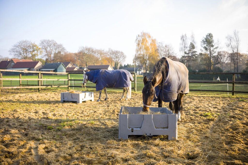 Ready, set? De winter komt eraan!
