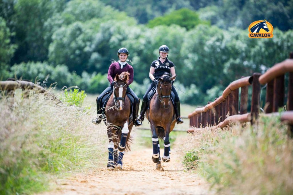 Gratis webinar: jouw paard fit en gezond: bewust werken aan conditie en bespiering
