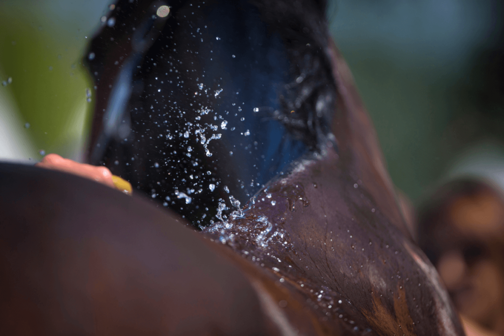 Zomertips: hoe houd je je paard comfortabel en gezond in de hitte?
