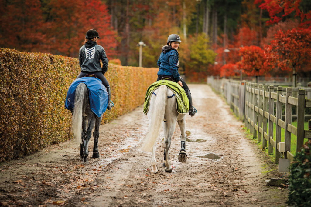 Comment garder votre cheval dans un état optimal durant l’hiver ?