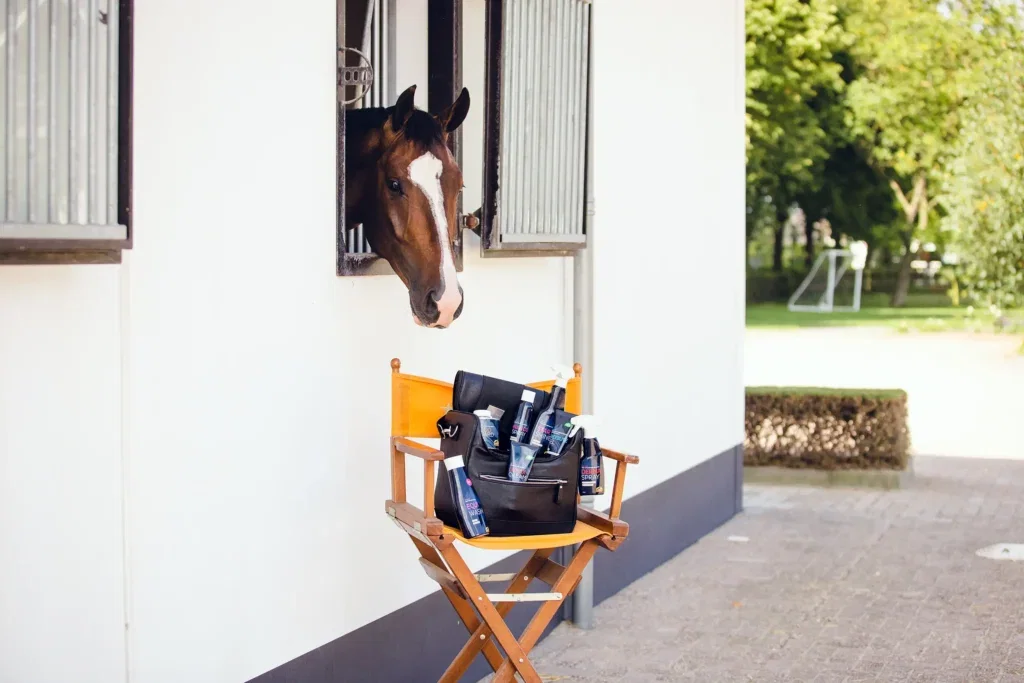 6 top tips voor jouw grooming routine