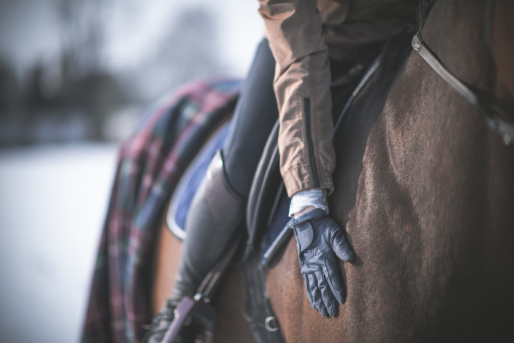 Winterroutine voor (toekomstige) sportpaarden