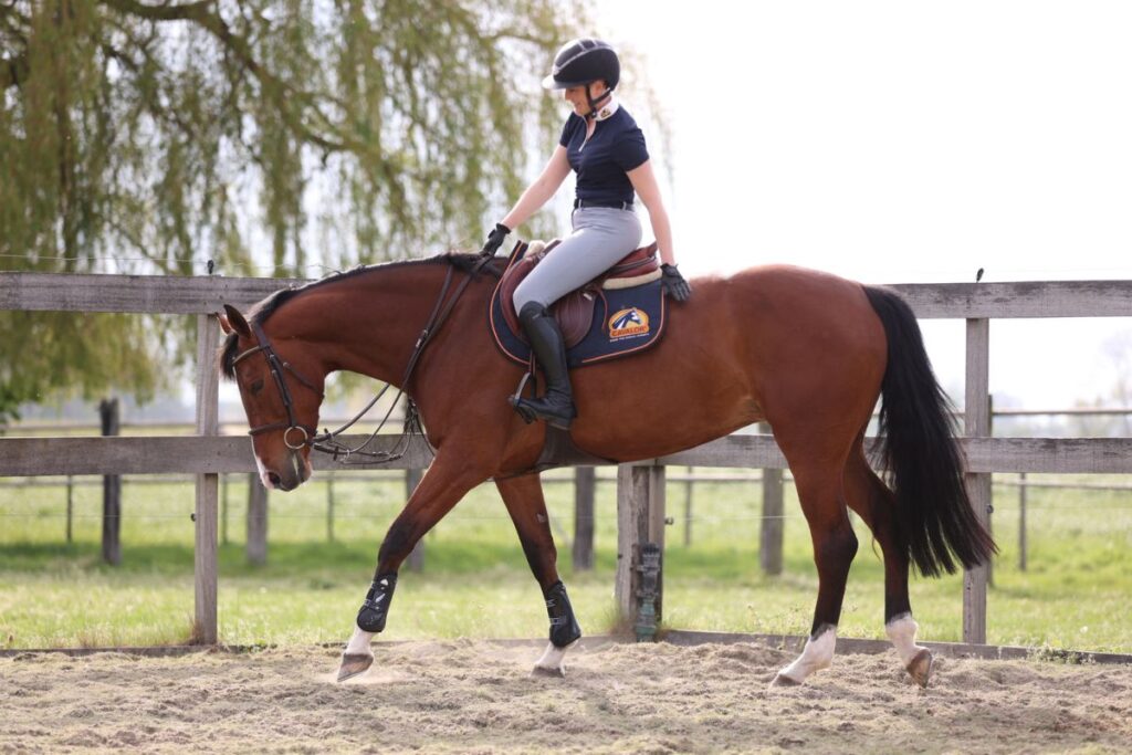 Drie stappen voor een optimaal herstel van (sport)paarden