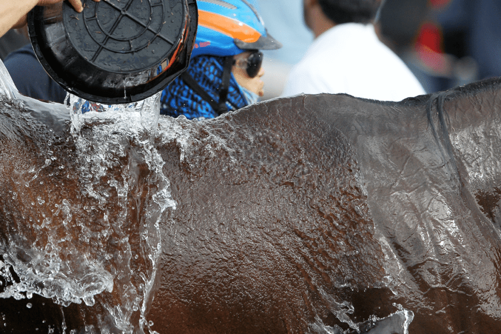 Sport in hogere temperaturen