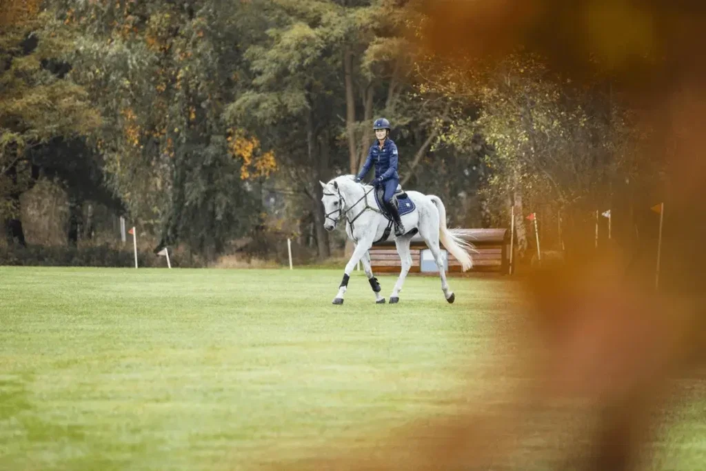 Sportpaard voorbereiden op het sportseizoen: training, voeding en herstel