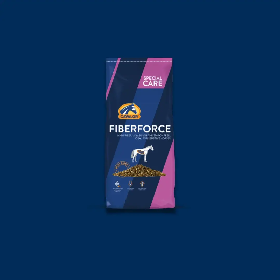 Products-FiberForce blue (1)