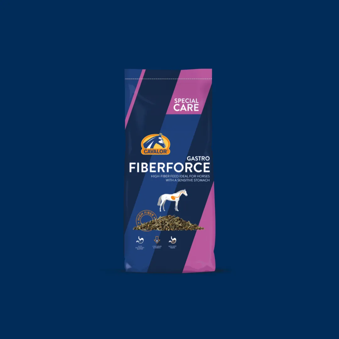 Products-FiberForce-Gastro-blue (1)