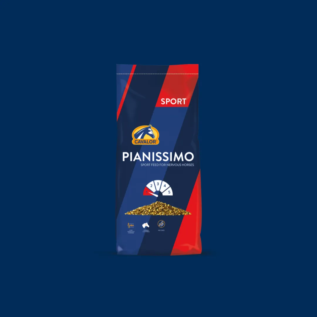 Products-Pianissimo-blue (1)