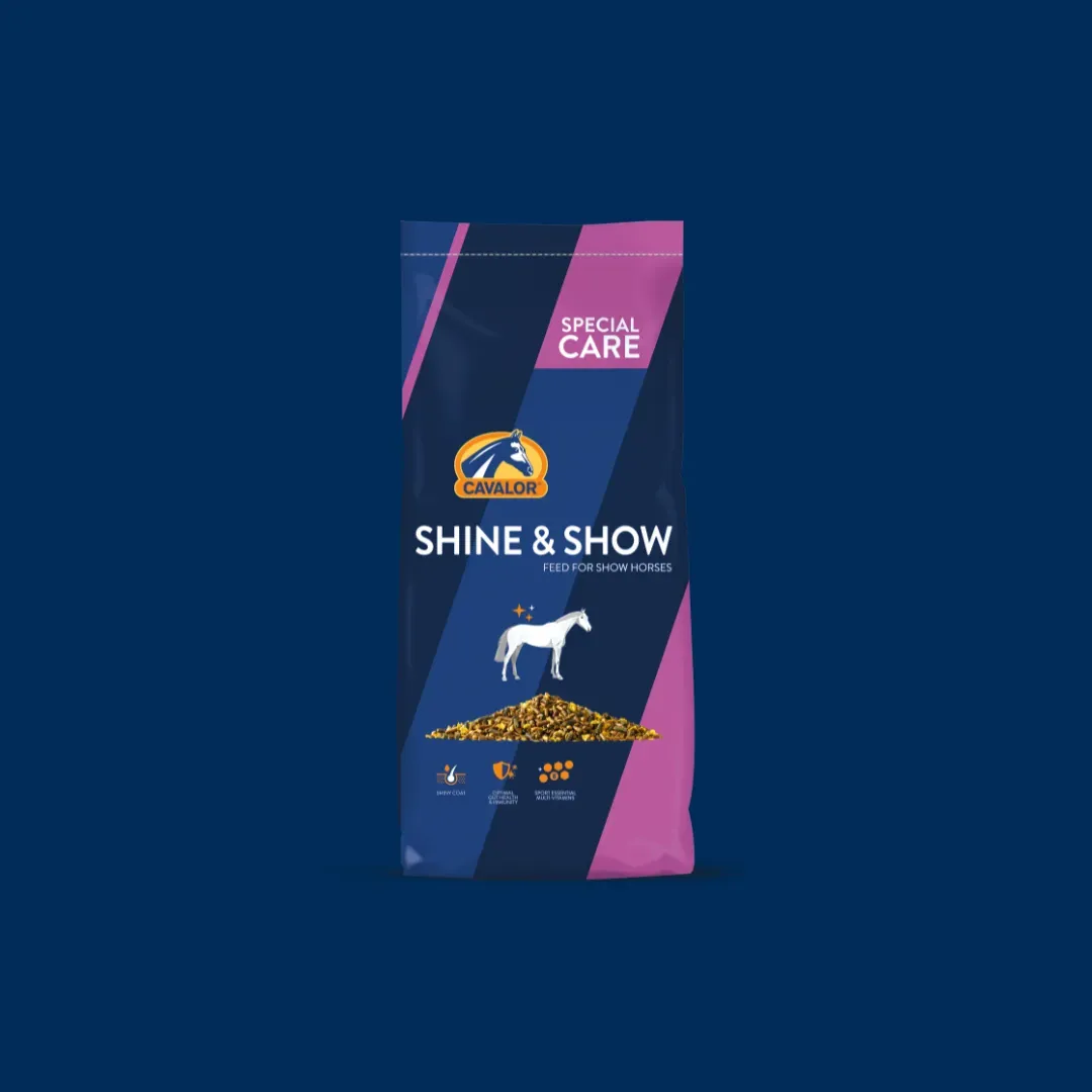 Products-Shine&show blue (1)