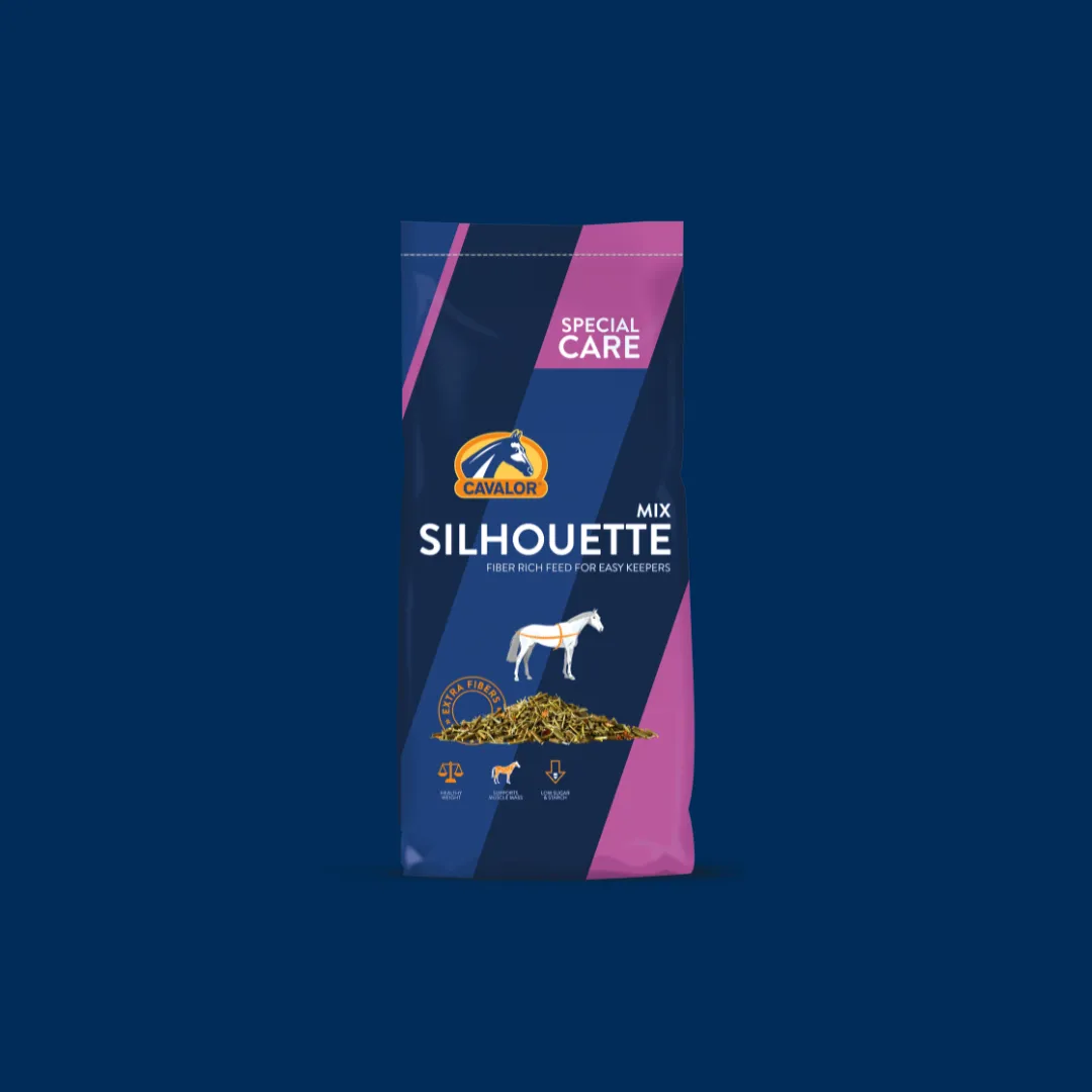 Products-Silhouette-blue (1)