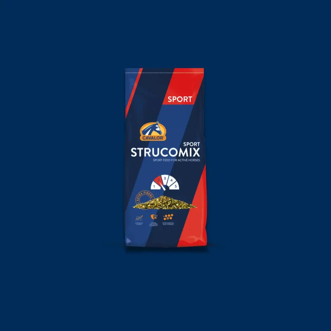 Products-Strucomix Sport blue (1)