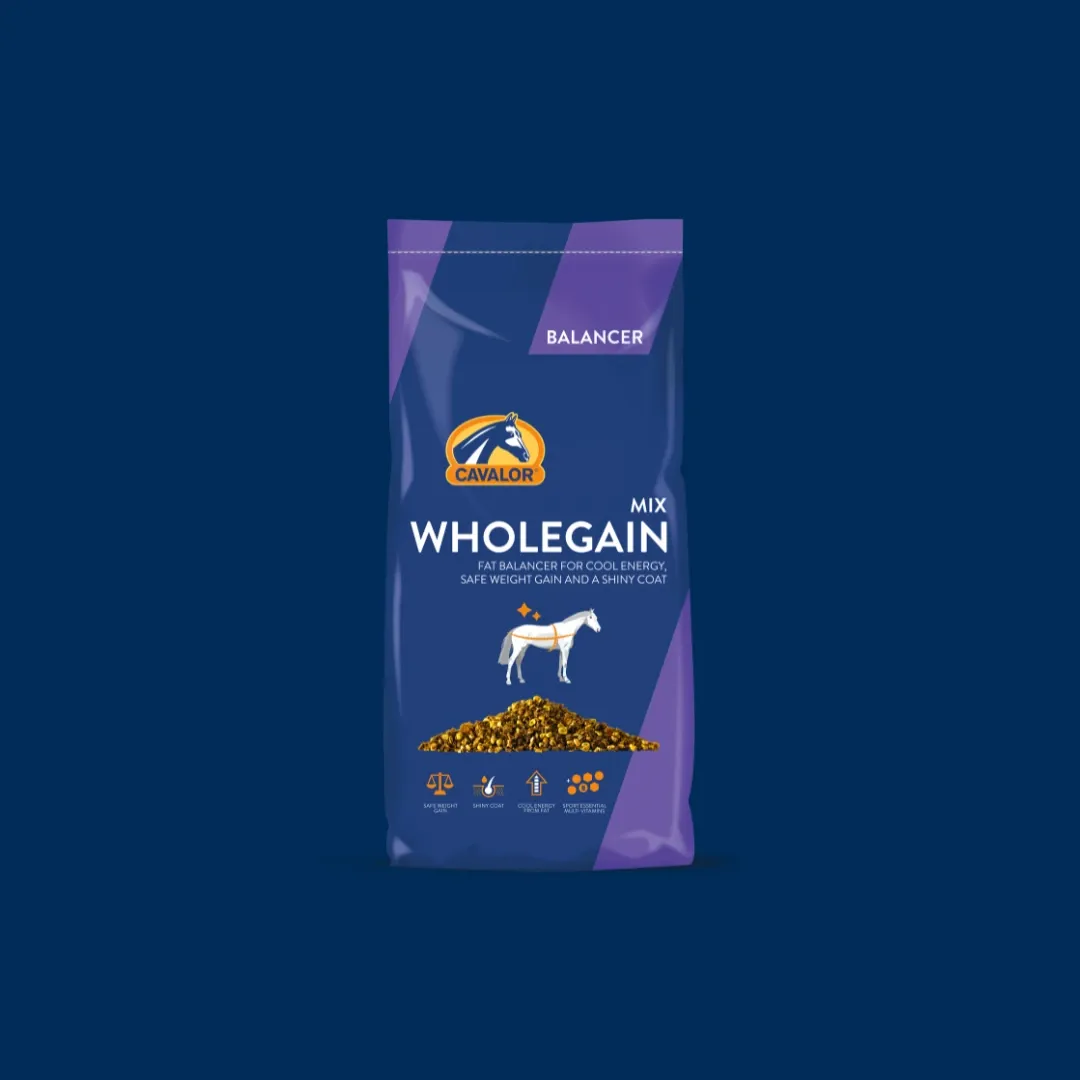 Products-Wholegain blue (1)