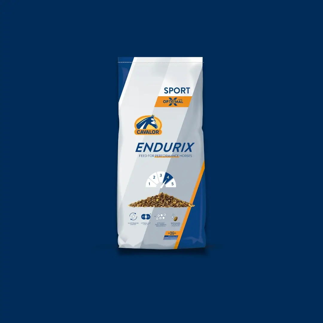 Endurix