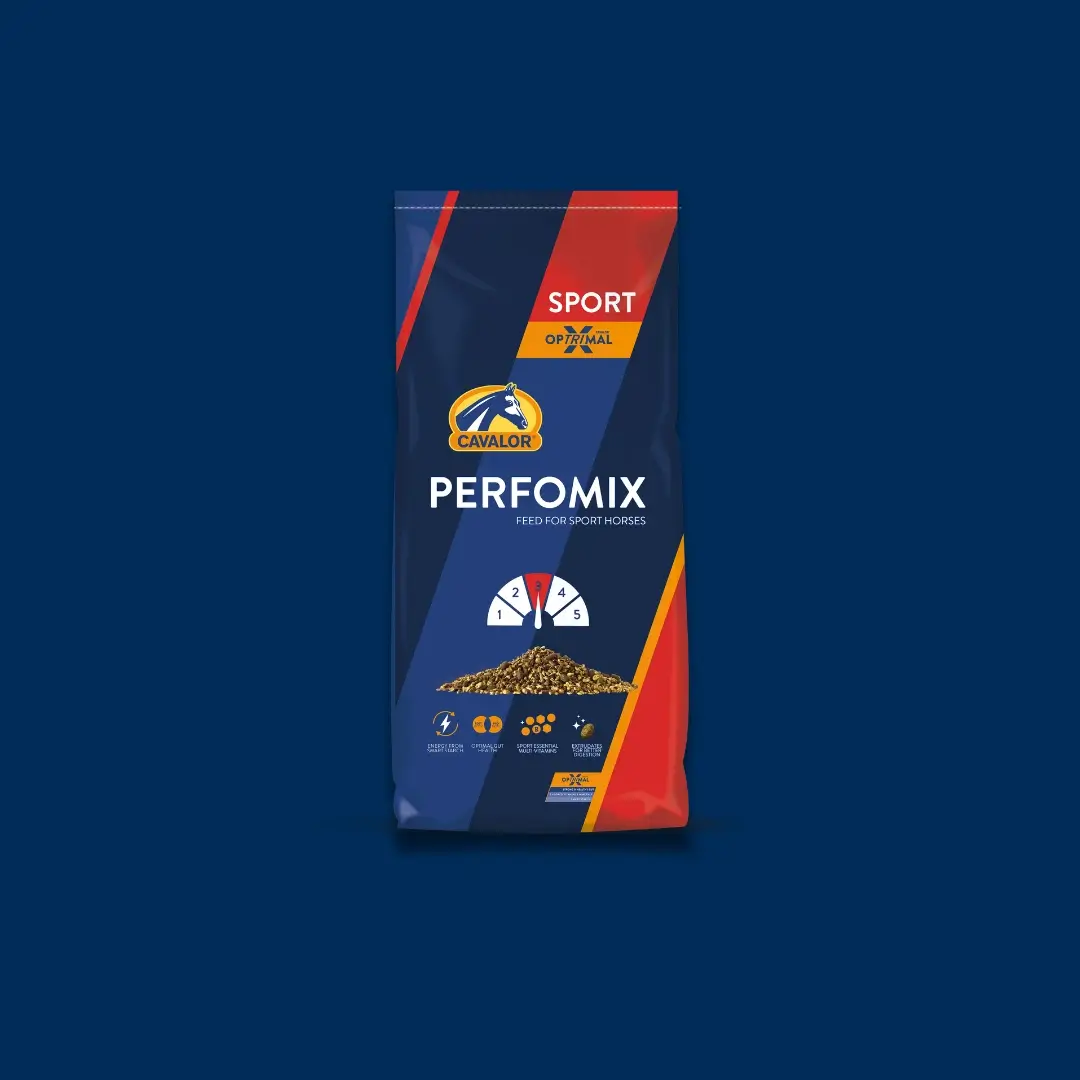 product-gallery-perfomix-2